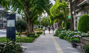 أفضل مكان للإقامة في تبليسي فاكي